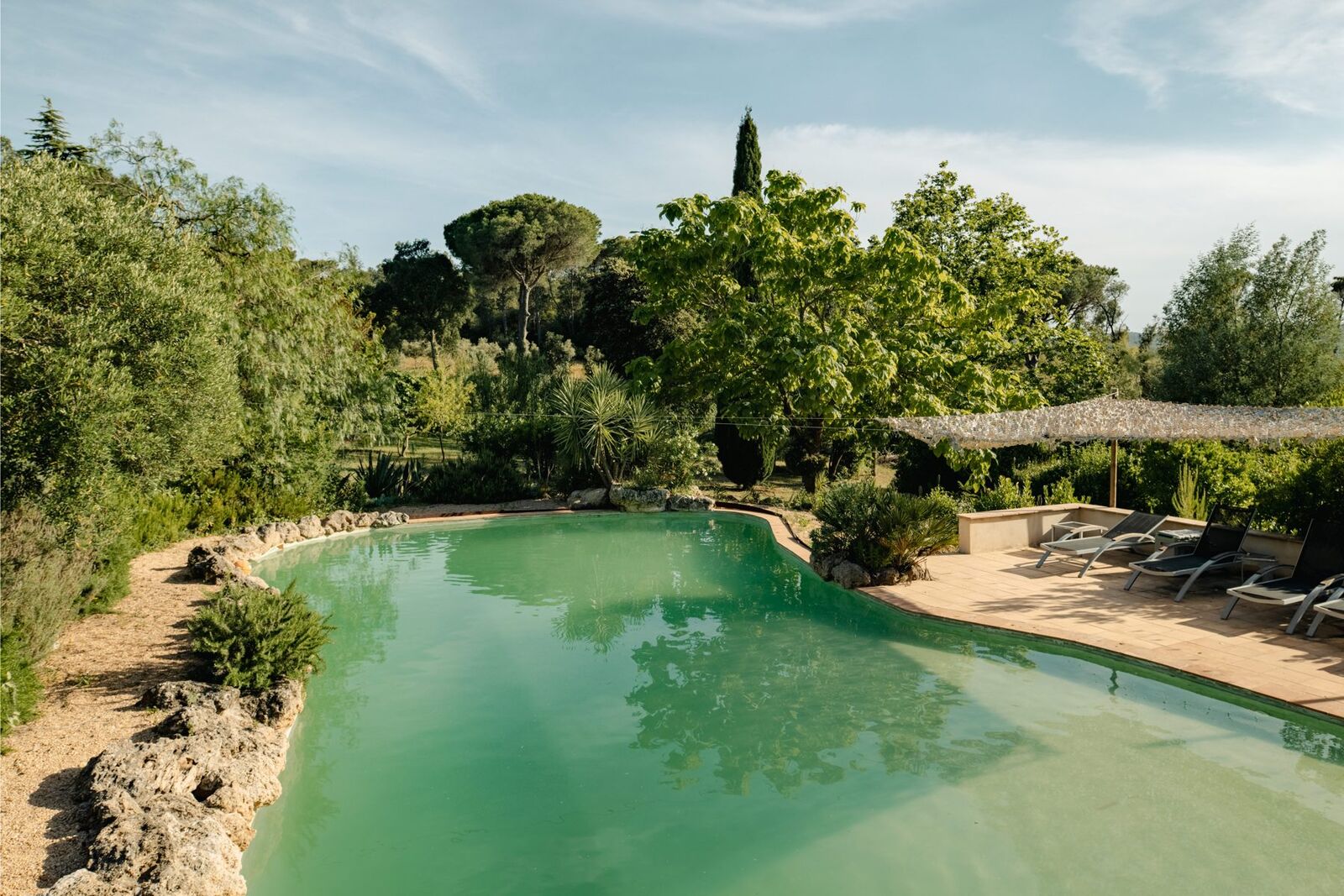 Pool, lake and vines