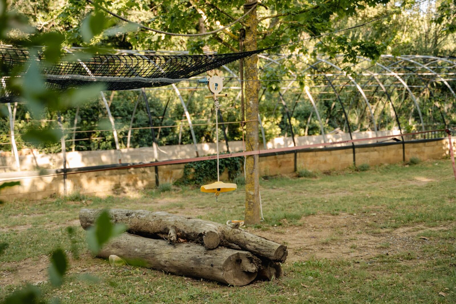 The grounds
